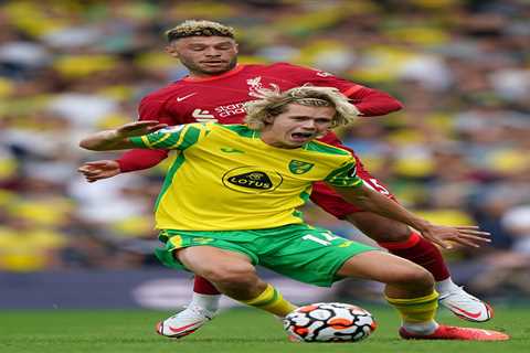 Newcastle interested in Todd Cantwell transfer as Norwich demand £15m fee for midfielder who can..