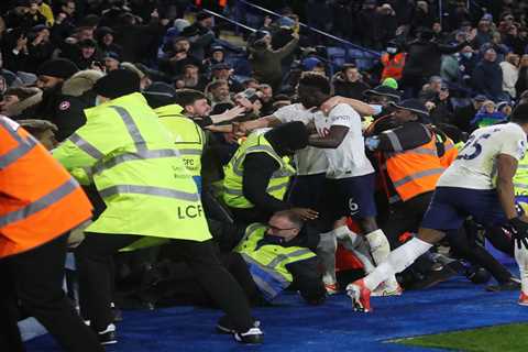 Tottenham fan arrested on suspicion of assault after ‘SPITTING at steward’ during win over Leicester