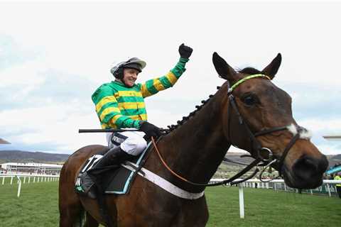 Cheltenham Festival: These three returning champs can star plus back these 16-1 and 14-1 shots now
