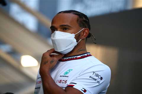 Lewis Hamilton got ex-F1 race director Michael Masi the sack by staying SILENT, claims Red Bull..