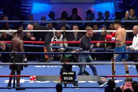 KSI’s brother Deji loses celebrity boxing bout against American YouTuber Alex Wassabi after fan..