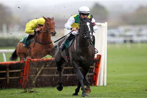 Cheltenham Festival 2022: Massive British boost as monster horse too big to measure gets green..