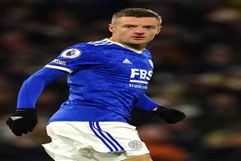 Leicester City ace Jamie Vardy tried to buy a PENGUIN for his family