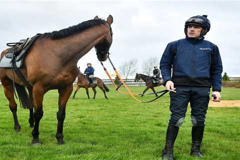 Who is Ruby Walsh? Cheltenham Festival’s most successful winner