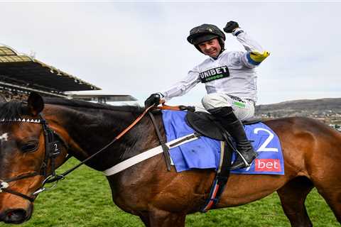 Cheltenham Festival 2022: Constitution Hill and Edwardstone deliver monster performances at Brits..