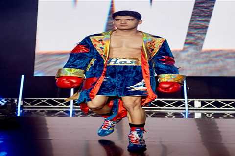 Manny Pacquiao’s son Jimuel held talks to fight Alex Wassabi in charity exhibition until Jake Paul..