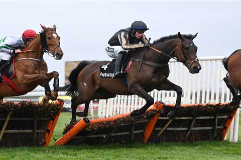 5.15 Aintree 2022 result – day 1: Who won Mares’ Bumper? How every horse finished at Grand National ..