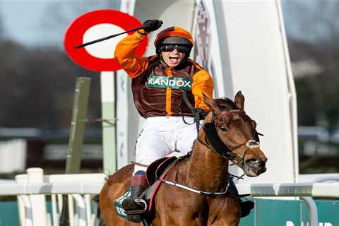 Jockey Sam Waley-Cohen wins Grand National in his last EVER race on shock 50-1 outsider Noble Yeats