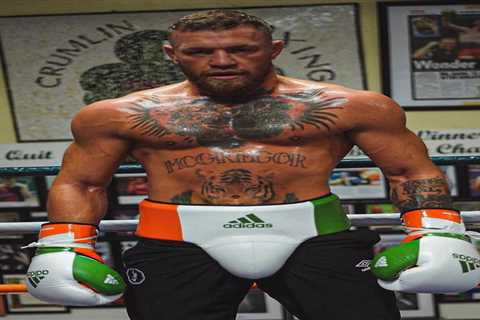 Conor McGregor shows off insane physique as UFC legend works up a sweat in sparring ahead of return ..