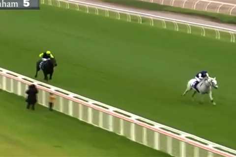 Jockey ‘nearly became a meme’ after easing down early and almost losing £30,000 race in..