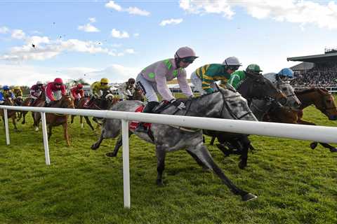 Mystery as winless horse who’s earned just £84 is backed from 80-1 to 10-1 to cause huge upset at..