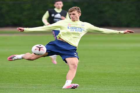 Arsenal young striker Nikolaj Moller re-joins Dutch minnows FC Den Bosch on season-long loan..