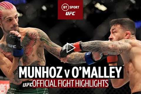 'No Contest' call halts fascinating fight  Pedro Munhoz v Sean O'Malley  UFC 276 Highlights