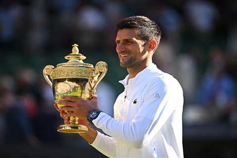 ‘This is ridiculous’ – Djokovic should be allowed into America for US Open despite refusing Covid..