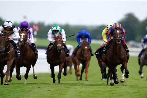 Templegate tip and complete runner-by-runner guide to Gordon Stakes at Goodwood on Thursday
