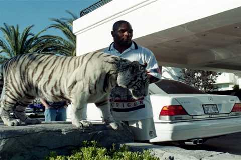 Mike Tyson’s pet tiger tried to eat his neighbour’s DOG which caused boxing legend to lose his..