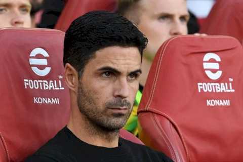 Arsenal’s Mikel Arteta way is perfect for new Man Utd boss Erik Ten Hag