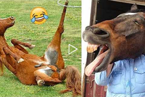 Crazy Horse Fails: The Best Horse Videos Ever | Pets Island