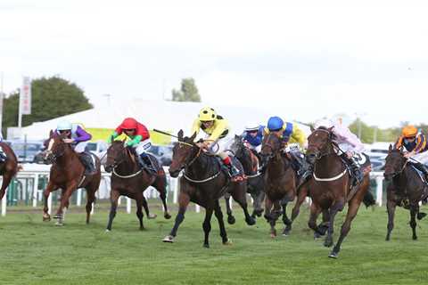 St Leger to be run at Doncaster on Sunday on huge NINE-race card but ALL Saturday racing cancelled..