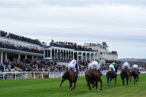 Racing abandoned days in advance due to ‘unsafe ground’ as Ludlow and Exeter forced to cancel..