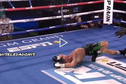 These Boxers Need To Be JAILED For These KNOCKOUTS | Everybody Sent To The Shadow Realm