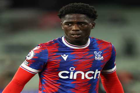 Crystal Palace starlet Malcolm Ebiowei wanted by Hull on loan transfer as Rosenior looks to link up ..