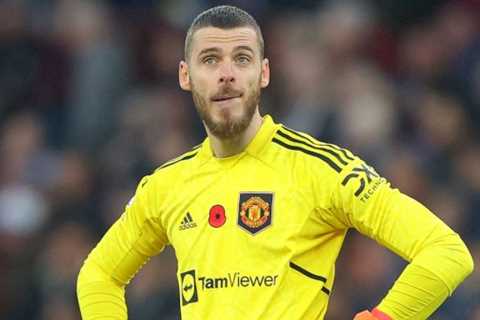 David de Gea must accept slash to his astronomical wages to extend Man Utd stay