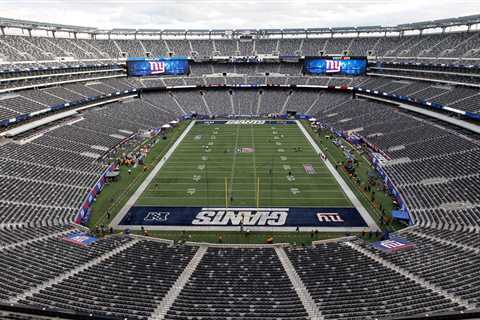 ‘All options on the table’ for new MetLife Stadium field — report