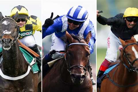 Think you’re a horse racing fan? Test yourself with our epic Christmas quiz