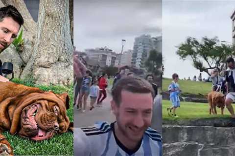 Watch: Fans celebrate World Cup triumph with Lionel Messi’s pet dog