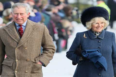 King Charles makes history with horse he inherited from late Queen as Steal A March gives him first ..