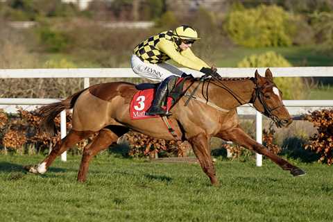 New star horse emerges as main danger to Constitution Hill in the Champion Hurdle