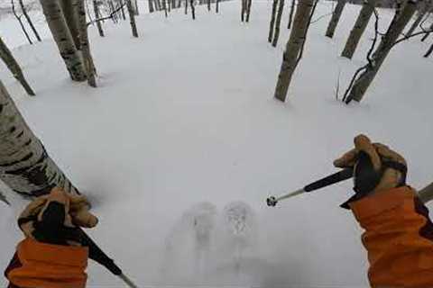 Epic New Years Eve Powder and Tree Skiing | Crested Butte Colorado