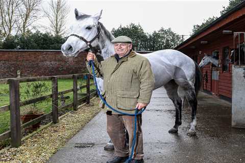 ‘I never gave up hope’ – the emotional story of racehorse trainer Jeff Sadik who ended his..