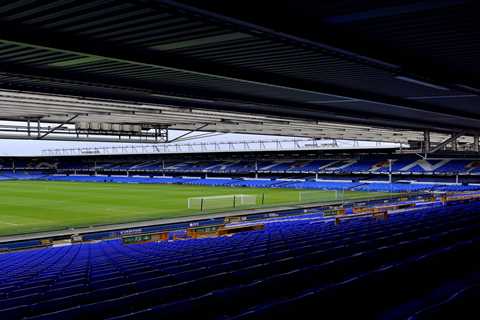 Everton directors told not to attend Southampton clash due to ‘real and credible threat to safety..