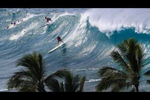 2023 Eddie Aikau Big Wave Invitational Waves of the World Reaction