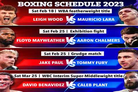 Boxing schedule 2023: Results, upcoming fight dates – including Jake Paul vs Tommy Fury & Floyd ..