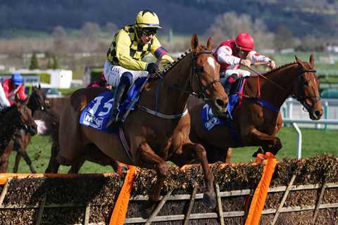 Fowler lining up Betfair Hurdle bid for Colonel Mustard