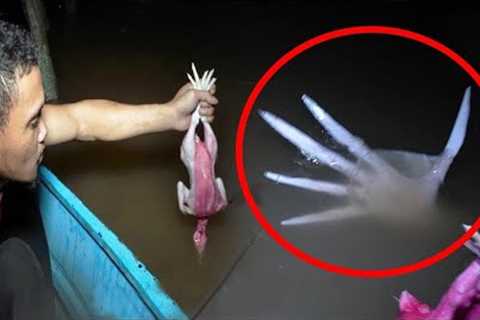 Fishermen Captures What No One Was Supposed to See