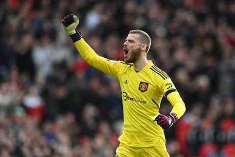 Manchester United hatch plan to stop David de Gea getting paid millions as potential back-up..