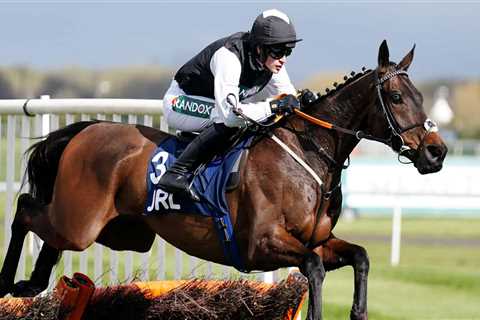 Flooring Porter ‘on target’ for Stayers’ Hurdle defence
