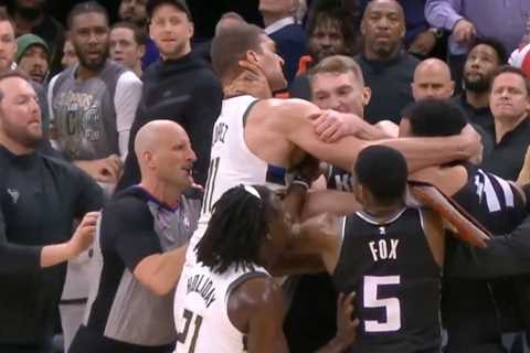 Brook Lopez And Trey Lyles Brawled After A Late Push Of Giannis In Bucks-Kings