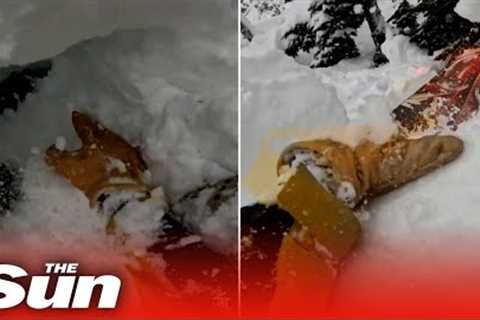 Skier races against the clock to dig out snowboarder buried head first under snow