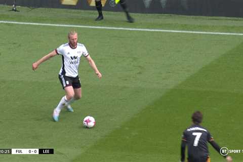 Fans all spot ‘most blatant’ offence in Fulham vs Leeds and can’t believe the ref hasn’t punished it