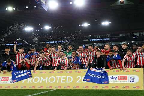 Sheffield United back in the big-time as Sander Berge and Anel Ahmedhidzic seal promotion to..