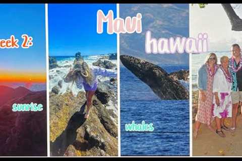 week 2 | HAWAII vlog ~ maui island, whales, snorkeling, sunrise in the clouds & more ~ episode 2