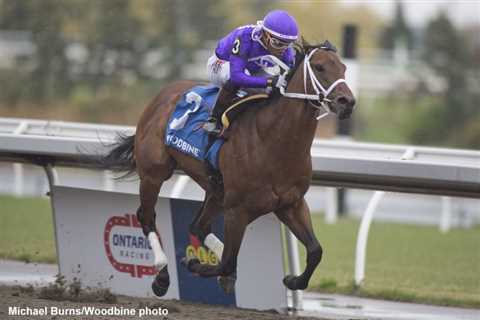 Supplemented New York Thunder Romps Unchallenged To Woodstock Triumph At Woodbine – Horse Racing..