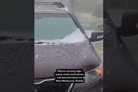 Hail in Florida turns street into a river of ice #shorts