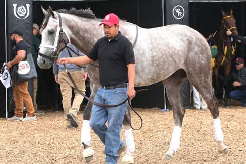 Kentucky Derby Update: Schooling Planned, Routine Gallops As Saturday Nears – Horse Racing News