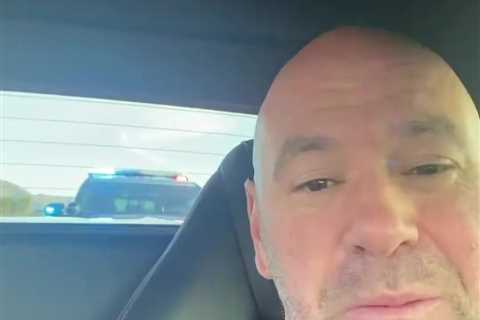 Dana White pulled over by police as MMA boss arrives back in Las Vegas after UFC 288